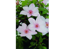 Jan Pawel II John Paul II