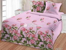 ��� ������ 86351