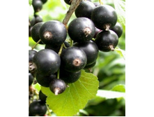 ��������� ������ ���� �2-180�.jpg