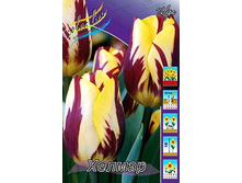 17,93���. ������� ������.jpg