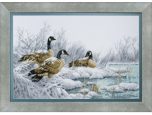 ������� ���� �-164 «���� �����»