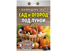 �������� ��������� ��� � ������ ��� ����� �� 2017 �. 30,5.jpg