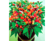 ����� ������������� ��������� 6 ���. - 0,1 ��.jpg