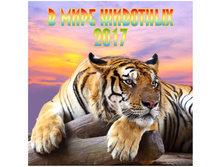 ��������� ������. �������. �� ������� Standard - � ���� ��������, 28,5-28,5 ��, 12 �., 2017 �. 59,78.jpg