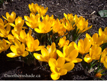 ������ ������ ������ 7-8 ����������.(25��) ������ ���� 206,64 ���. ����� ���� 175,64 ���.jpg