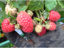 �������� ����( �������� � ����� ������� ����)