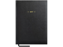 ���������� ������������ 2017�., �5, 176�., ��������, Derby, ������ 207,4.jpg