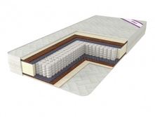 ������ ����