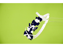 5-219 ������ TRESTELLE � ������� 4 �� ����  483,84