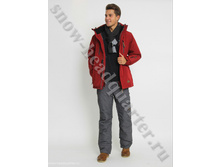 �-8195 �����