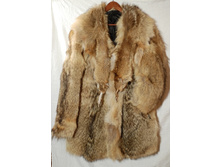 ��� �������������� �� ��� ����. �������� 2 �������� ���� ������ ��������