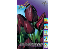 ������� ����������