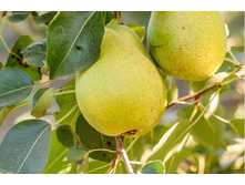 ����� ����������-160�.jpg