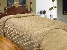 ��������� ������� "����" (�������)