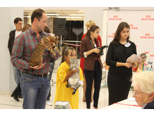 14305192 1102192013196184 8566959366244924182 o.jpg