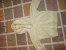 IMG 1253.JPG