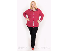 ������ V230.1