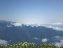 ���� 2014 689.jpg