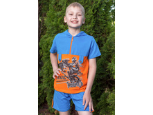 ������ ��������, ���������