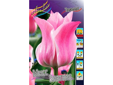 14,56���. ������� ���� �������(���������� ������ ������ ���������� �� 10 ��.).jpg