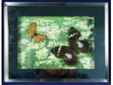 ������� � ��������� � ���������� ����� 41 ���.jpg