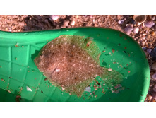 WP 20160907 17 09 25 Pro.jpg