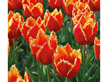 ������� ����� 12 ���. �� 1 ��. ����� ����������� ������ 5 ��. (�.�. 5,10,15,20 � �.�.) ��� ���������������� ������. ������� ����� ��� ���� � ��������.jpg