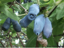 ��������� ������� �2-220�.jpg