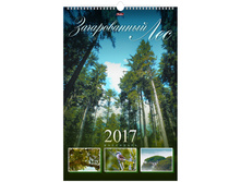 ��������� ������. �������. �� ������ ����- ������������ ���, 30-45 ��, � �������, 2017 �. 101,26.jpg