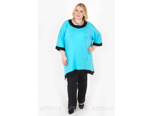 ������ V205.8