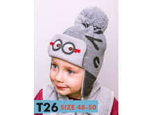 ����� ������� ���������� ISOSOFT � �/� ��������� (������) - T26 (isosoft), 395 ���.