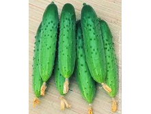 ������ ����������-11,90 ���. �� 10 �������.jpg