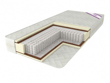 ������ ����