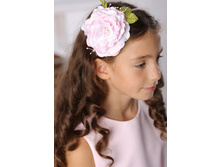 ������ ������ �������