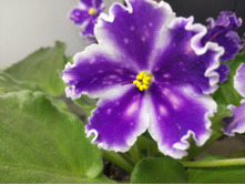 ���������2