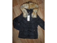 L(�� 42,��� 0,92��)