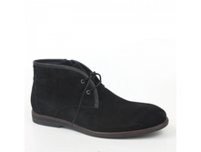 Item gallery resized2 54319 117483.jpg