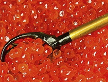 ���� ������� ���� �������.jpg