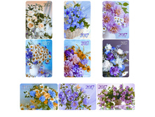 ��������� ��������� ������ ������, ��������� ���������, 2017 �. 1,71.jpg