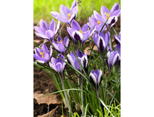 7,63���. ������ ������ ����� (������)(���������� ������ ������ ���������� �� 10 ��.).jpg