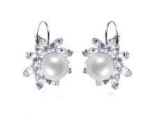 NGR11142326337101 (460 ���) ������(������� ���������,�����,������,�������� �����������.jpg