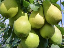 ����� ������-160�.jpg