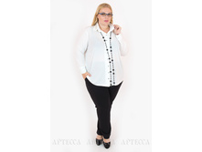 ������ V049.1