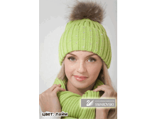 ����� ������ � �������� � ����� ���� 1060