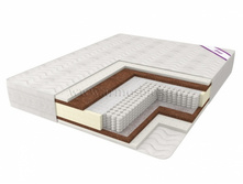 ������ ���������