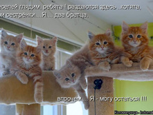 ������� ������ ������, ��������� ��� ������ ...