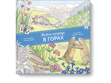 ����� �������. � �����