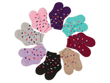 ����� ������ ��������