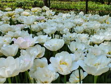 ������� ������� 9,2 ���. �� 1 ��. ����� ����������� ������ 5 ��. (�.�. 5,10,15,20 � �.�.) ��� ������������ ������. ������� ����� ��� ���� � ��������.jpg