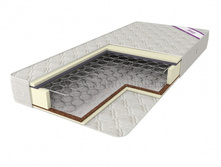 ������ �����